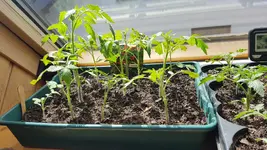 20190510_142446.webp