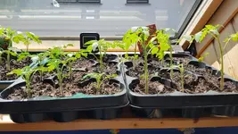 20190510_142454.webp