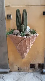20190510_094322.webp
