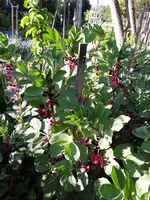 20190510_180400.webp