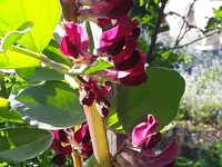 20190510_180429.webp