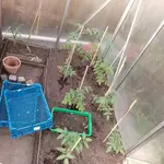 20190510_195045.webp
