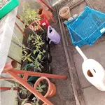 20190510_195112.webp