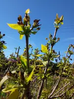 20190512_105615.webp