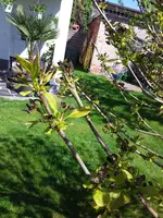 20190512_105704.webp