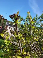 20190512_105637.webp