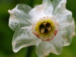 image004.jpg