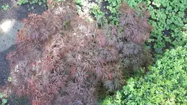 20190511_130309.webp