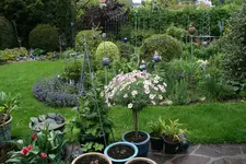 Mai 0119.webp