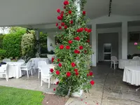 DSC00214.webp