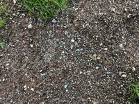 IMG_3419.jpeg