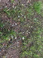 IMG_3417.jpeg