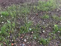 IMG_3418.jpeg