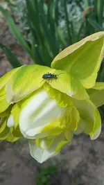 20190507_131225.webp