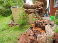 DSCN0132.webp