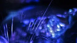 2019ftwttbwrbMai.webp