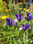 20190513_163625.jpg