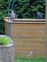 20190512_153933.webp