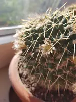 20190513_181217.webp