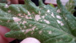 20190514_091203.jpg