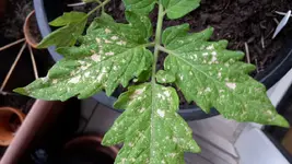 20190514_091053.webp