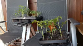 20190514_105304.webp