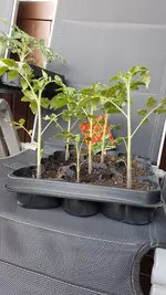 20190514_105322.webp