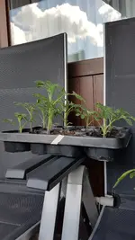 20190514_105330.webp