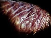 image004.webp