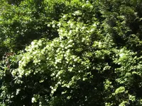 BILD1015.webp