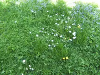BILD1001.JPG