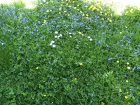 BILD1002.webp