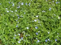 BILD0972.webp
