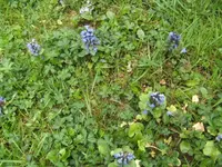 BILD0981.webp