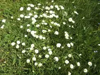 BILD0989.webp