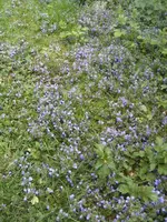 BILD0987.webp