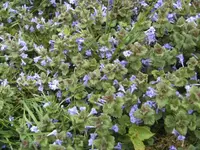 BILD0988.webp