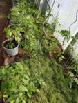 20190514_090431.jpg