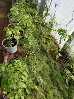 20190514_090431.webp