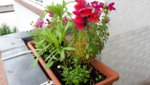 20190515_081607.jpg