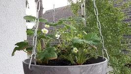 20190515_081622.webp