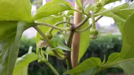 20190515_081644.webp