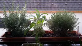 20190515_083010.webp