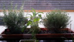 20190515_083010.jpg