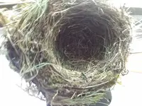 20190514_135050.webp