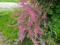 DSC00235.webp