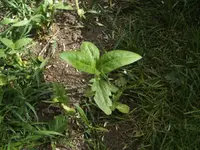 BILD0983.webp