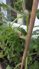 20190515_202740-747x1328.webp