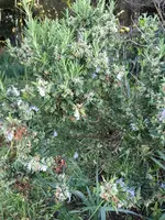 IMG_8070.webp