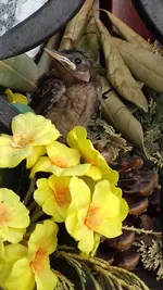 20190502_153142.webp